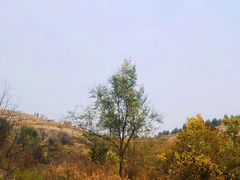 -龙洞风景区-藏龙涧