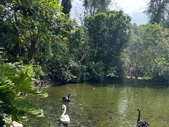 -海南热带野生动植物园