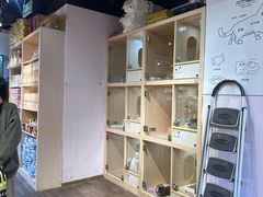 -爪爪喵星球·猫舍(卓悦中心店)