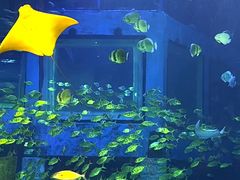 -正佳极地海洋世界