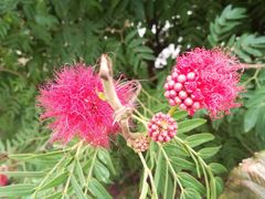 -南国桃园旅游度假区