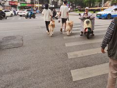 -燕子煨汤(山海关路店)