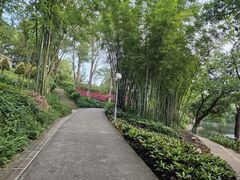 -深圳龙潭公园