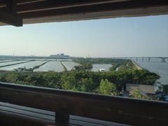 -大湾区中央湿地公园