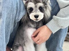 -FAELING PETS美天灵宠物(合生汇店)
