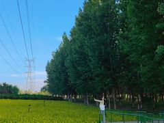 -长白岛森林公园