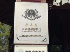 -广东惠东海龟国家级自然保护区