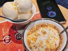 -古树酸奶(八廓南街店)
