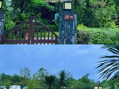 -美的鹭湖森林度假区