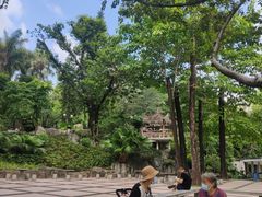 -晓港公园