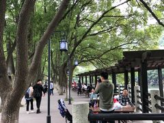 -白马涧龙池景区