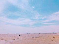 -刘家湾赶海园