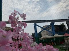 -长洲岛