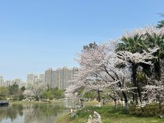 -堤角公园