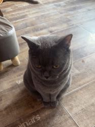 -青木造型HAIR·あおき髪を刈る潮人店