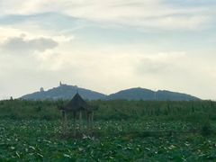 -奥特莱斯停车场