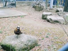-上方山森林动物世界