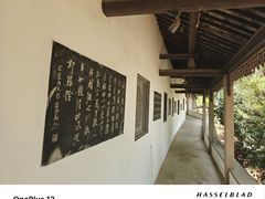 -雨花胜境