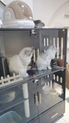 -花系美·美甲美睫精品店