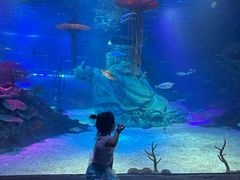 -沈阳海洋探索中心