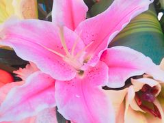 -东北酱骨头馆(蓁巷店)