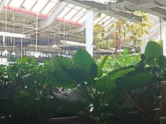 -红栌温泉山庄生态美食餐厅