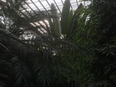 -龙达温泉生态城