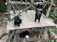 -长鹿旅游休博园