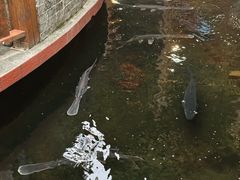 -侠成水上农庄(工业大道店)