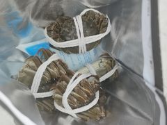 -阳澄湖大闸蟹·琼灵阁牌品牌连锁(吴中总店)