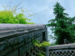 -渭南桃花源民俗文化园