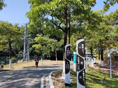 -广东花都湖国家湿地公园
