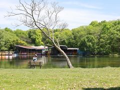 -上海共青森林公园