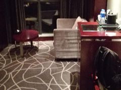 -常州环球恐龙城维景国际大酒店