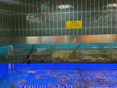 -海韵之星邮轮水会(明发商业广场店)