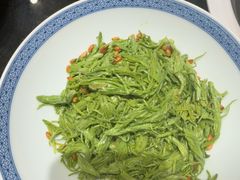 -鲁菜根·泰山菜(泰山店)