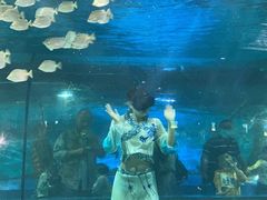 -重庆欢乐海底世界