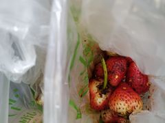 -雪儿钱局泡菜