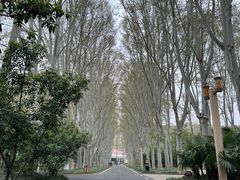 -河南省黄河迎宾馆