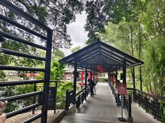 -侨美·唐荔园·40年地道粤菜