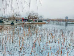 -济南大明湖景区