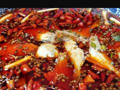 -舌尖上的食缘花园主题餐厅