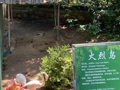 -西霞口神雕山野生动物世界