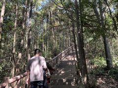 -酒仙湖景区