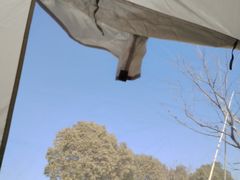-长兴太湖图影湿地文化园