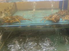-乐在集市海鲜大排档(平潭店)