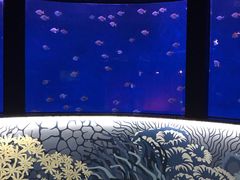 -沈阳海洋探索中心