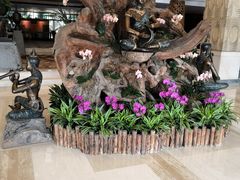 -厦门日月谷温泉渡假村