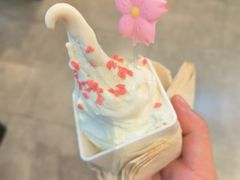 -野人牧坊Gelato(苏州中心店)