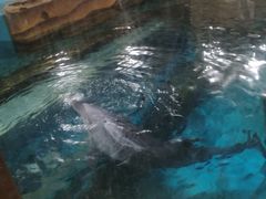 -波塞冬旅游度假区